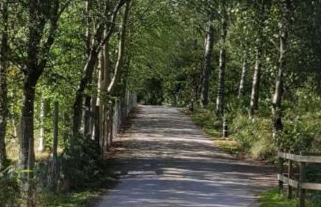 Inchmarlo Villa 29 Banchory - Foto 27