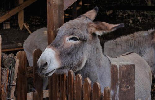 Casale Tasciotto - Foto 80