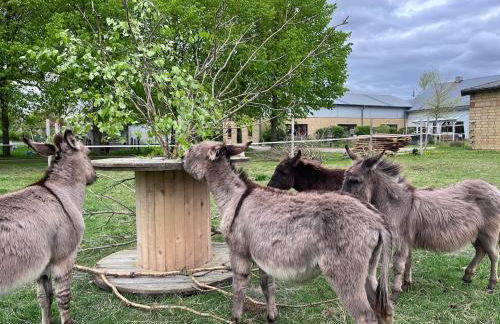 Wohnen in der ehemaligen Bauernstube - Foto 52