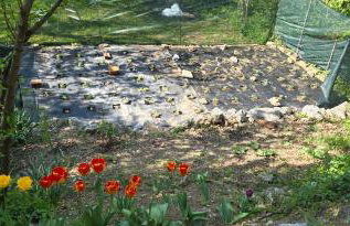 Vila Jenny - Foto 17