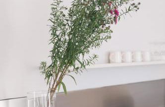 Verwalterinnenhaus - Foto 18