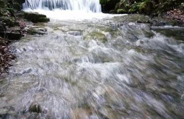 Chałpa na skarpie - Foto 30