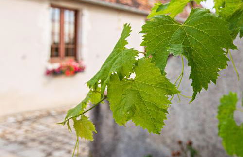 Gîte 4 chambres avec piscine couverte et jardin proche des châteaux de la Loire - FR-1-491-370 - Foto 22