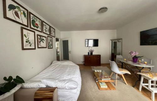 Full Flat in City Centre with Balcony - Foto 22