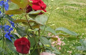 Ferienwohnung Peetsch am See - Foto 22