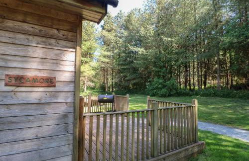 Sycamore Lodge - Foto 3