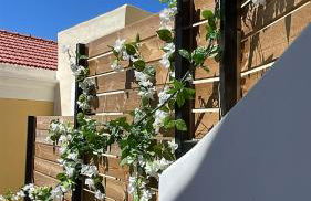 Serenity Luxury Apartment - Foto 24