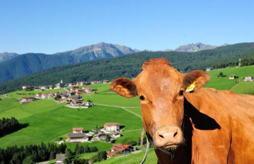 Pitznerhof - Foto 54