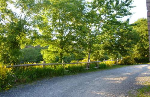 Nantgwynfaen Organic Farm Wales - Photo 24