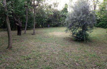 Casolare Toscano - Foto 13