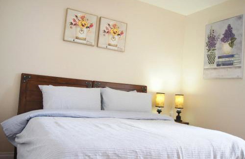 Single Story Beautiful home - Photo 11