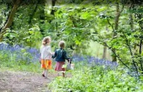 Rebels Retreat - 2-bed Chalet nr St Ives & Hayle - Foto 19