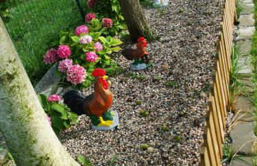 Agriturismo Nuvolino - Foto 28