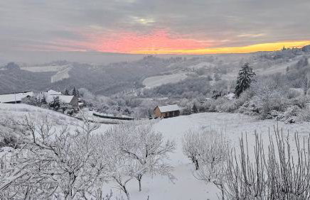 Wine Panorama house - Foto 7