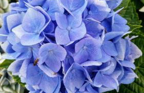 Übernachten in unseren Crutpracht Gästezimmern mit großem Bauernfrühstück, ab April 24 auch in der DUFFEL-SCHEUNE - Foto 30