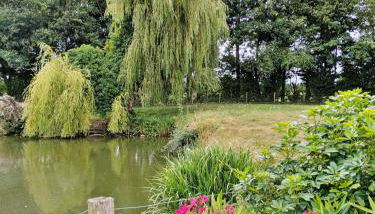 La Rose Trémière, 6 personnes - Foto 4