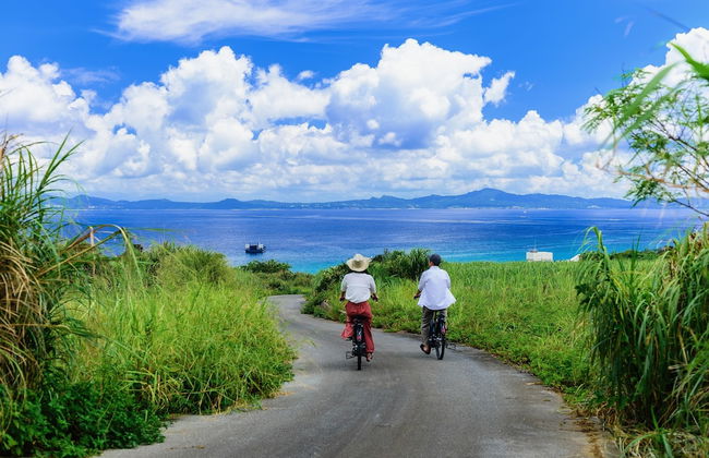 Leceb Sesoko Villa - Foto 28