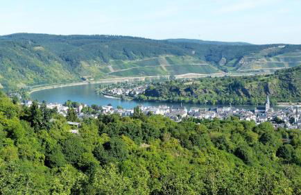RheinWeinBoppard 2 - mit Rheinblick - Foto 79