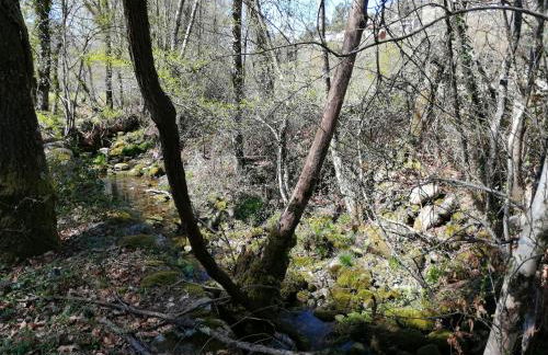 Casa do Vale de Cerva - Foto 25