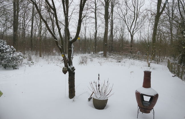 House in Hunzebergen Near Forest Trails - Foto 50