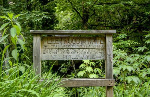 Stone's Throw Bungalow-- Hot Tub, Modern & Updated, Sleeps 2 - Foto 31