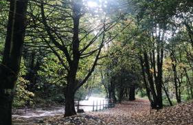 Bramley House-5 Star-located on the Dublin-Belfast corridor - Foto 56