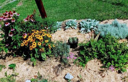 Apartman Barbara - Foto 10