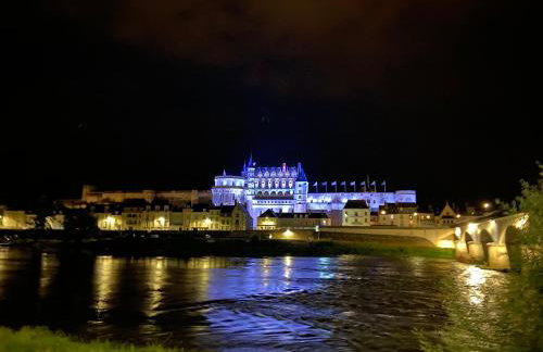 Villa au calme Amboise Piscine chauffée & Spa - Foto 13