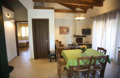 Boletus MushROOM - Foto 7