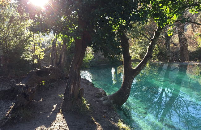 Domaine en Terre Happy - Foto 40