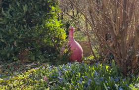 Panoramablick - Foto 21