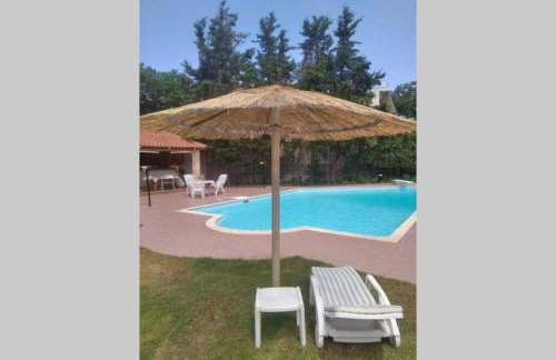 Mega pool and BBQ villa - Foto 39