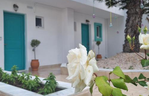 Arocaria Apartment in Faliraki with garden , mountain and sea view - Photo 35