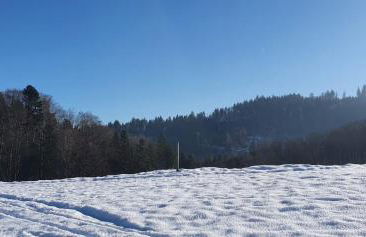 Wohnung im Schwarzwald mit Panorama Blick - Foto 34