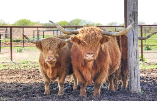 Beatrice Studio with Fire Pit Near Golf! - Foto 3