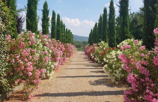 Villa Cappuccini - Foto 28