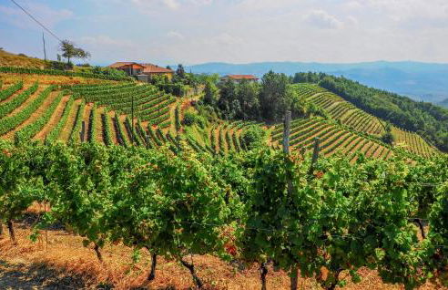 Awesome Home In Loazzolo With Wifi - Foto 9