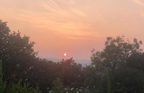Rabbits ,1 bedroom, Dartmoor Hillside, Eco Hobbit style, Home - Foto 20