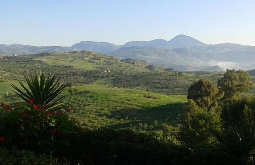 Ciuci's Manor - Foto 50