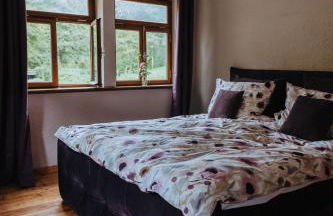 Außerhalb2 - Chalet Wassermühle - Photo 19