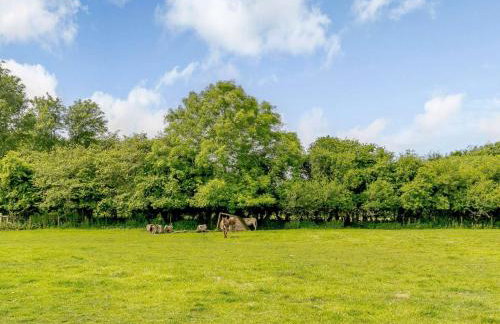 1 Bed in Kilgetty oc-88421 - Foto 17