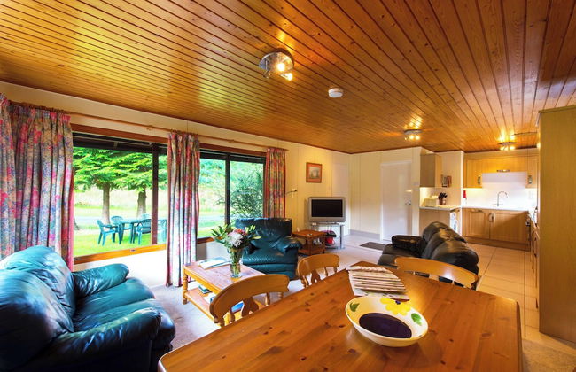 Kestrel Lodge With Mountain View Free Wifi - Foto 9