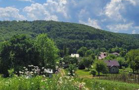 Cichosan domek w dolinie Sanu - Foto 41