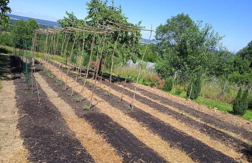 Les Jardins des 3 Provinces- Gîte - Foto 28