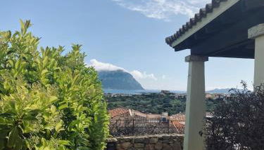 Villa con vista Porto San Paolo - Foto 2, Garden view