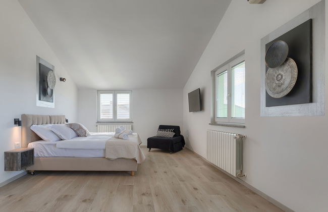 Salamander - Foto 55