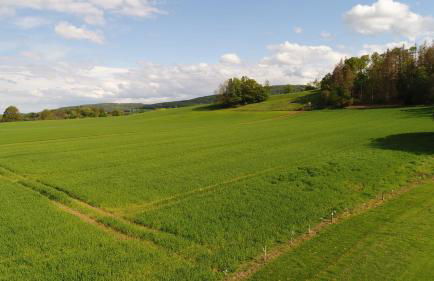 Premium-Ferienhaus Extertal Ferienpark - Natur Erholung Sauna Familie - Foto 29
