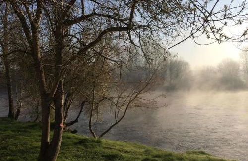 Gîte des Lavandières en bordure de Vienne (Civaux) - Foto 25