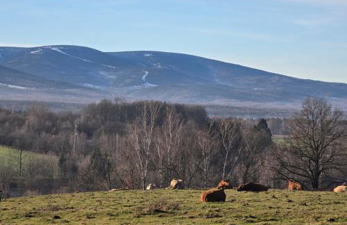 Hygge Młyńsko - Foto 37