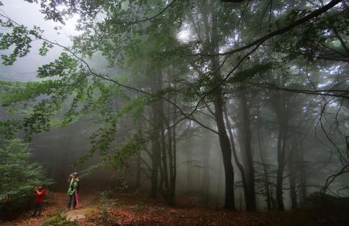 La LLar de la Kim, Bonita casa a 150m del mar y 40km de Barcelona - Foto 56